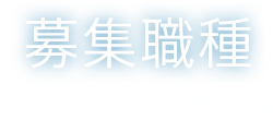 募集職種