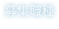 募集職種